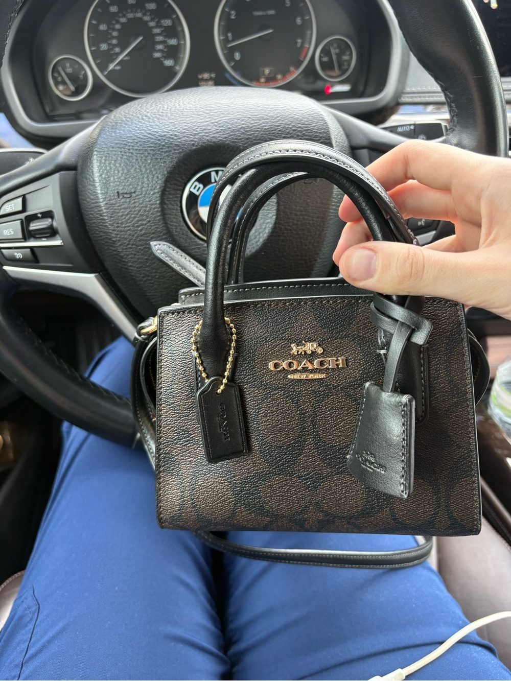 COACH Andrea Mini Satchel Bag in Brown/Black